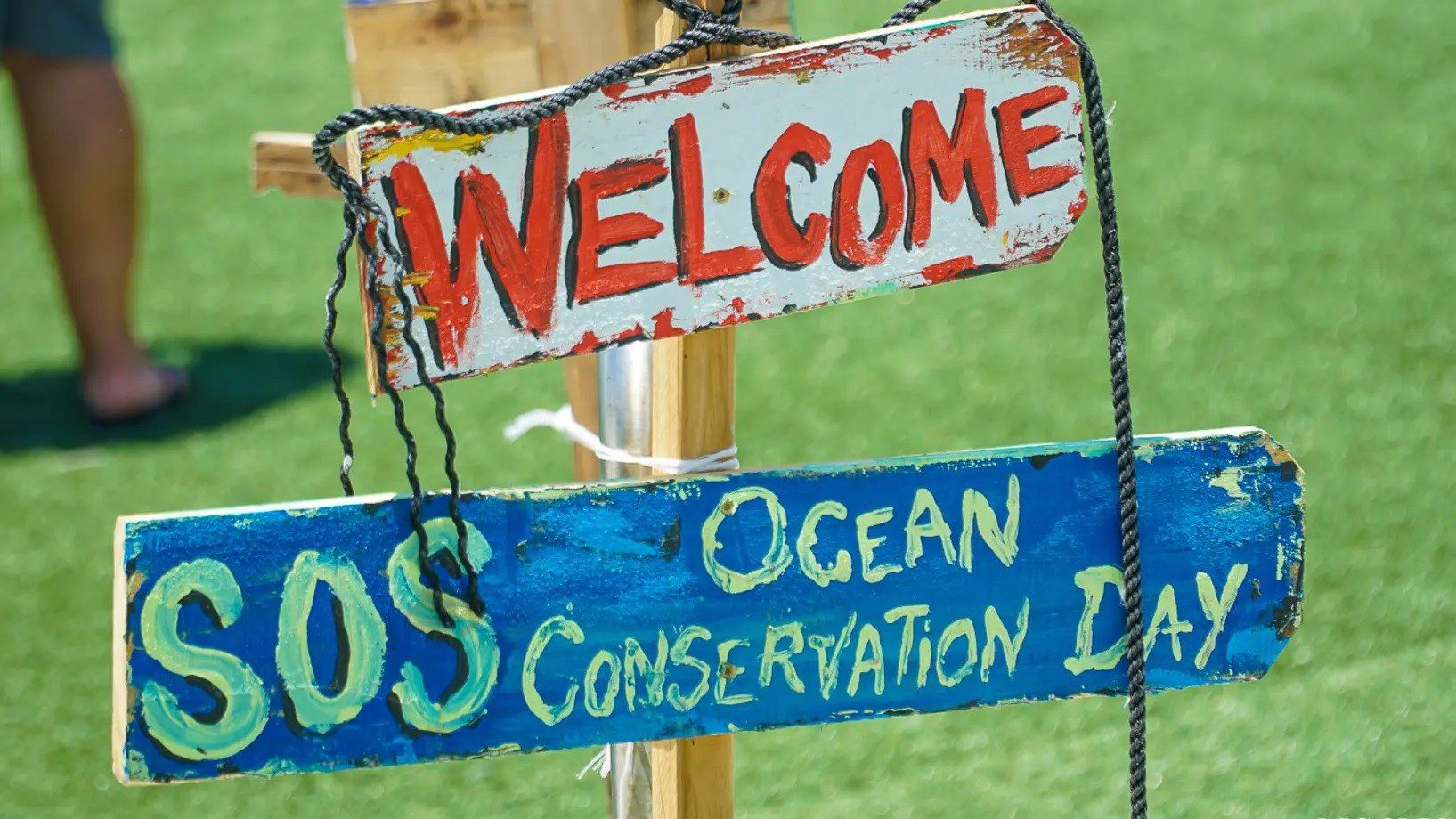 sos ocean conservation day