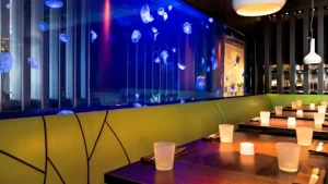 who1522re-159984-Steak-954-Jellyfish-Tank